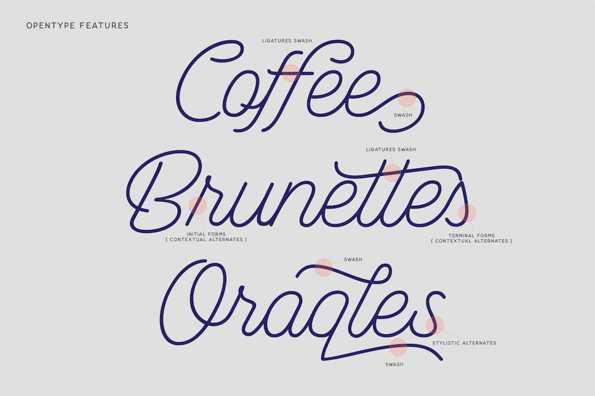 Bulgis - Variable Script Font, a Script Font by Panatype™ Studio (Photo 2 of 7)