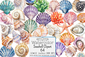 Watercolor Seashell Clipart, a Seasonal Illustration by Design Market