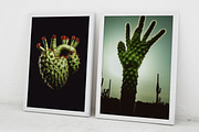 Cactus. 23 images, a Nature Photo by Handmadefont (Thumbnail 9 of 9)