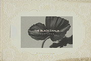 Embossed Papers, Frames and Collage, a Background Graphic by Laras Wonderland (Thumbnail 9 of 15)