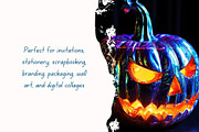 Iridescent Halloween, a Holiday Photo by pictures for you (Thumbnail 13 of 36)