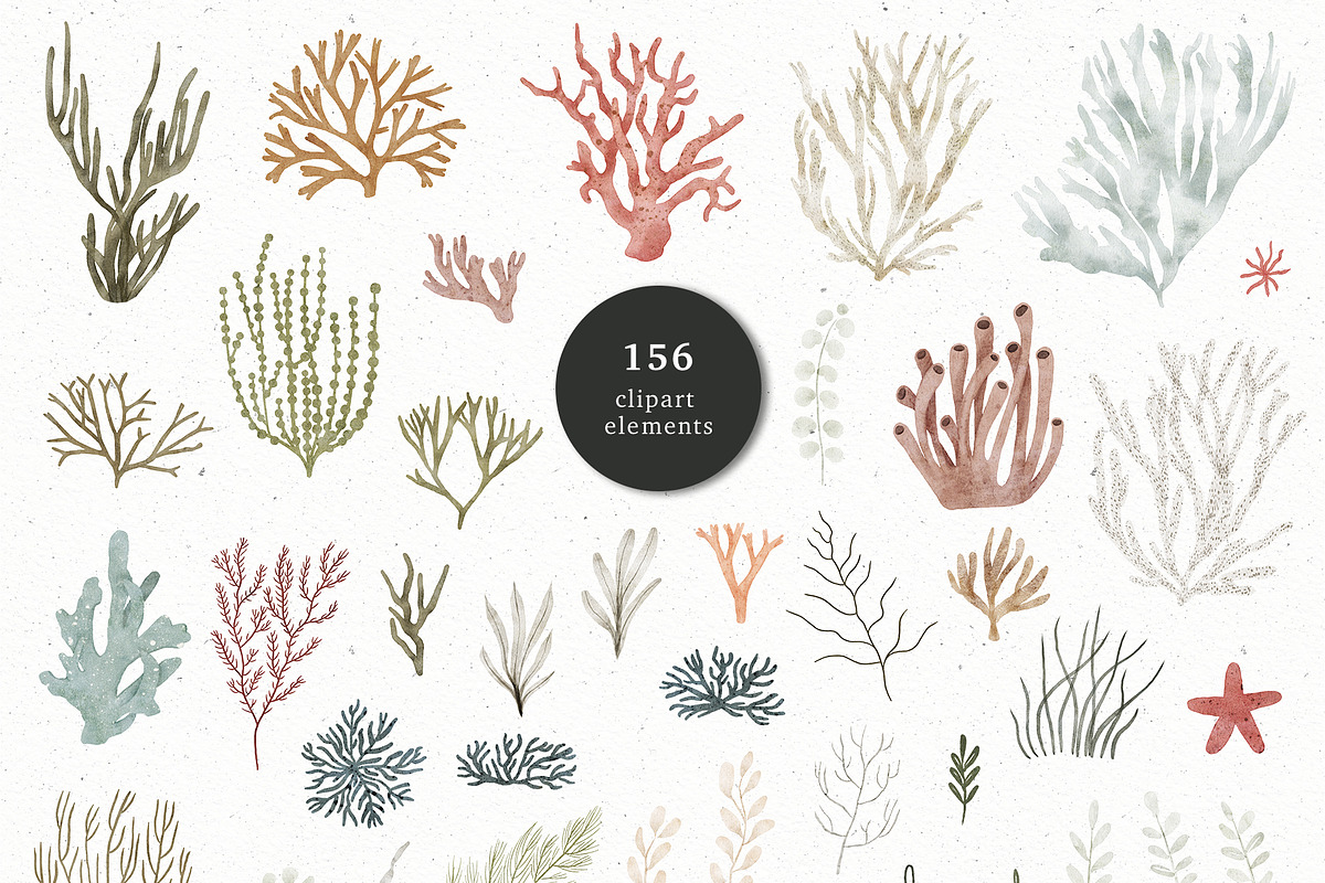 AQUATALES | 170+ elements, an Animal Illustration by Oksana Stepova (Photo 17 of 19)