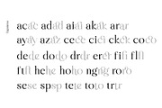 Liliane Classe Serif Font Family, a Serif Font by Ryul Davidson (Thumbnail 9 of 21)