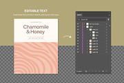 Product Label Template Set, a Brochure Template by BrandPacks (Thumbnail 10 of 14)