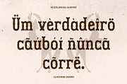 CS Bourne Drawn, a Serif Font by Craft Supply Co. (Thumbnail 6 of 8)