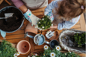 High angle view of grandmother with, a Person Photo by HalfPoint