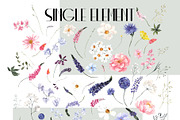 Wild Garden. Watercolor wildflowers., an Object Illustration by ma_i_vi (Thumbnail 9 of 11)