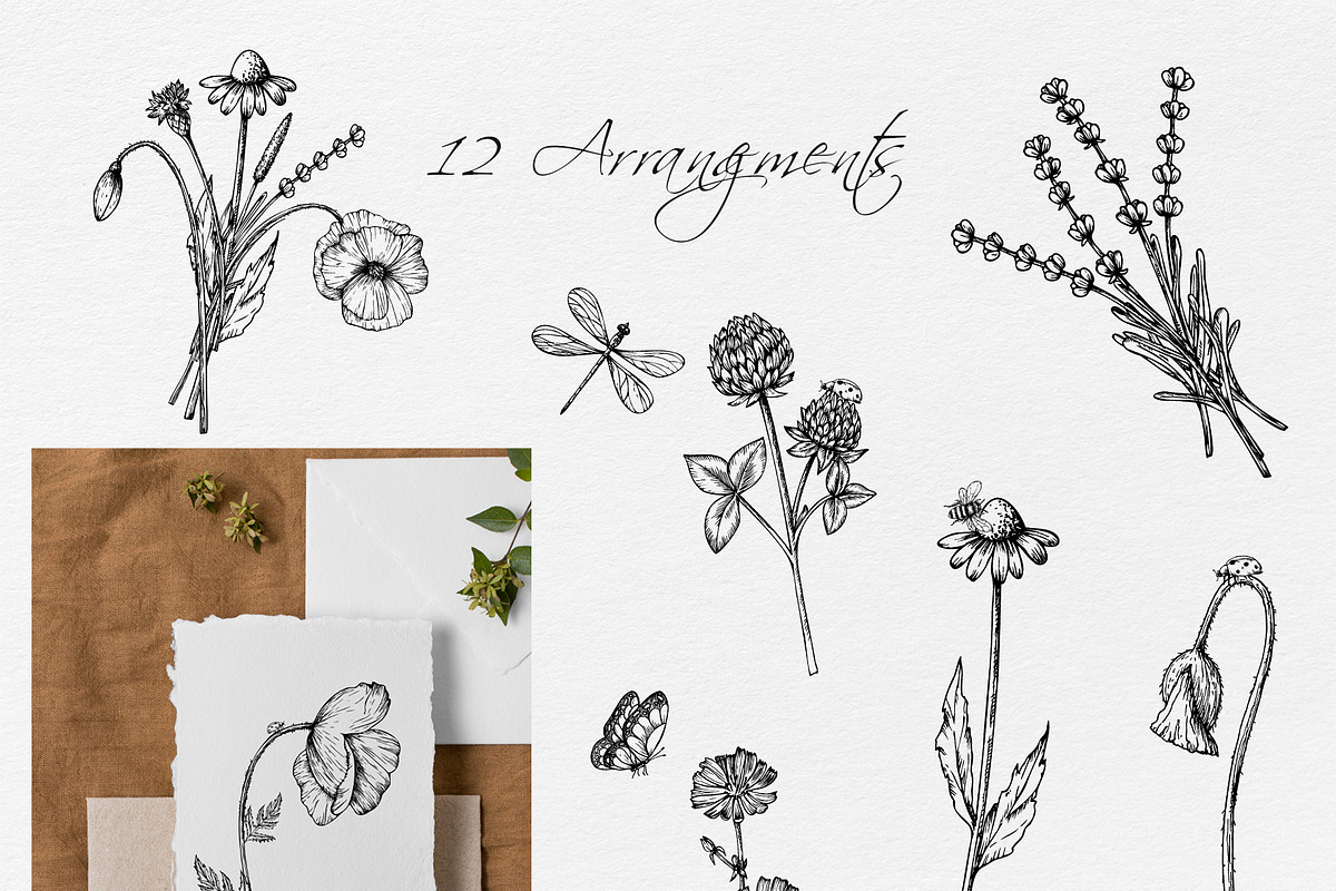 WILDFLOWERS Hand-drawn Line Art, a Seasonal Illustration by Navenzeles (Photo 4 of 13)