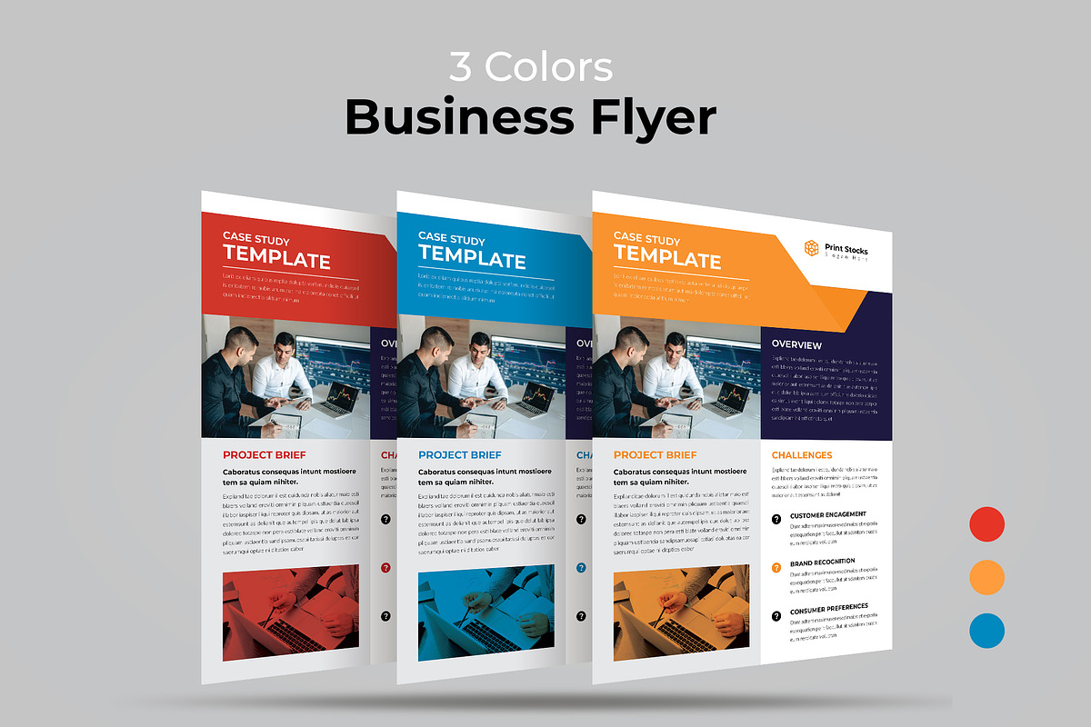 Modern Case Study Flyer preview 8