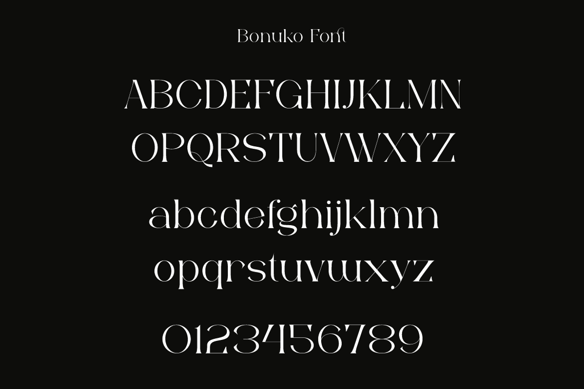 Bonuko - Modern Ligature Serif Font, a Serif Font by Iqsiart Studio (Photo 7 of 16)