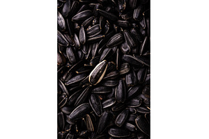 Black sunflower seeds texture close, a Food & Drink Photo by Yulia Furman