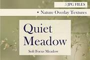 Quiet Meadow — Soft Focus Meadow, a Background Graphic by Aga Silva (Thumbnail 2 of 5)