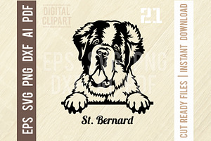 St. Bernard SVG - Peeking Dog