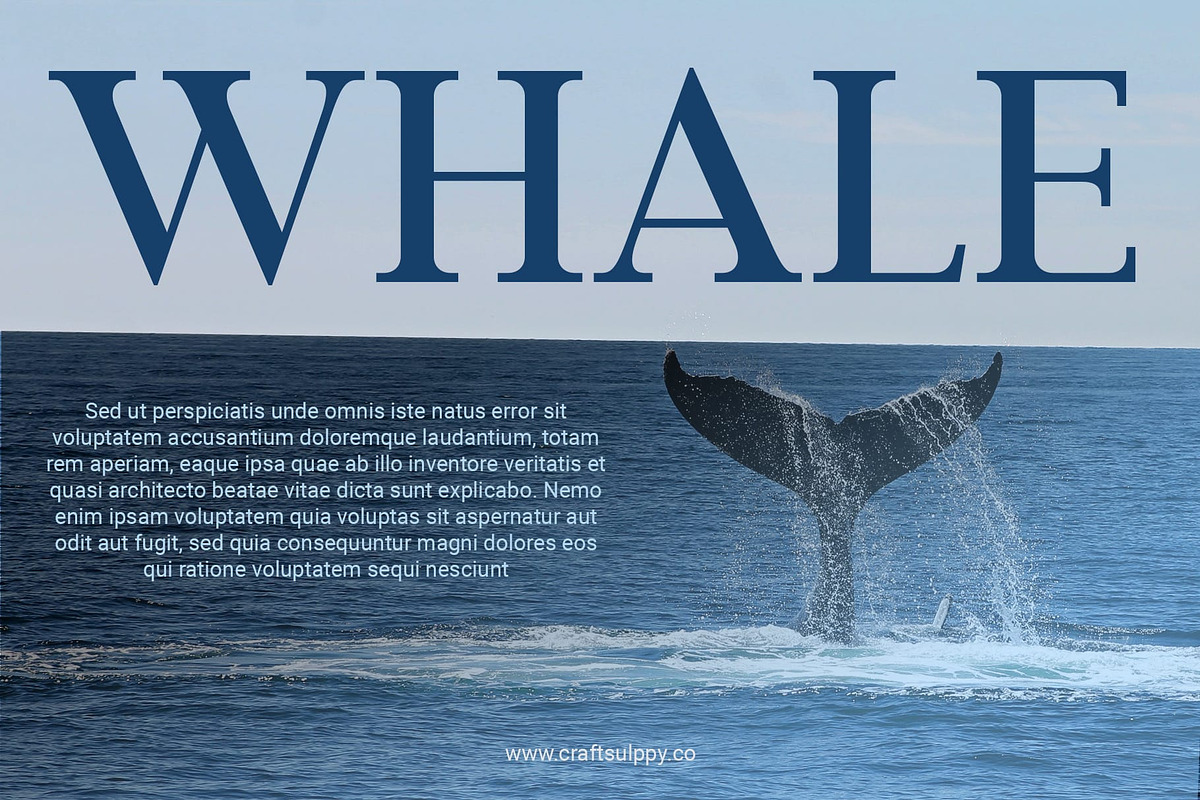 Jevale – Classic Serif, a Serif Font by Craft Supply Co. (Photo 6 of 8)