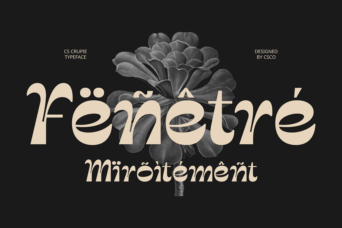 CS Crupie – Reverse Contrast Font, a Sans Serif Font by Craft Supply Co. (Photo 3 of 8)