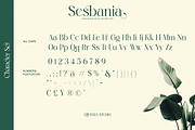 Sesbania - Modern Minimal Branding, a Serif Font by Qweera Studio (Thumbnail 12 of 12)