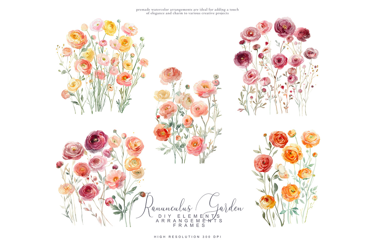 Watercolor Ranunculus Clipart Set, a Decorative Illustration by Patishop Art (Photo 9 of 10)