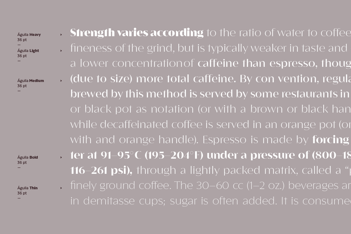 Águila, a Sans Serif Font by Latinotype (Photo 9 of 15)