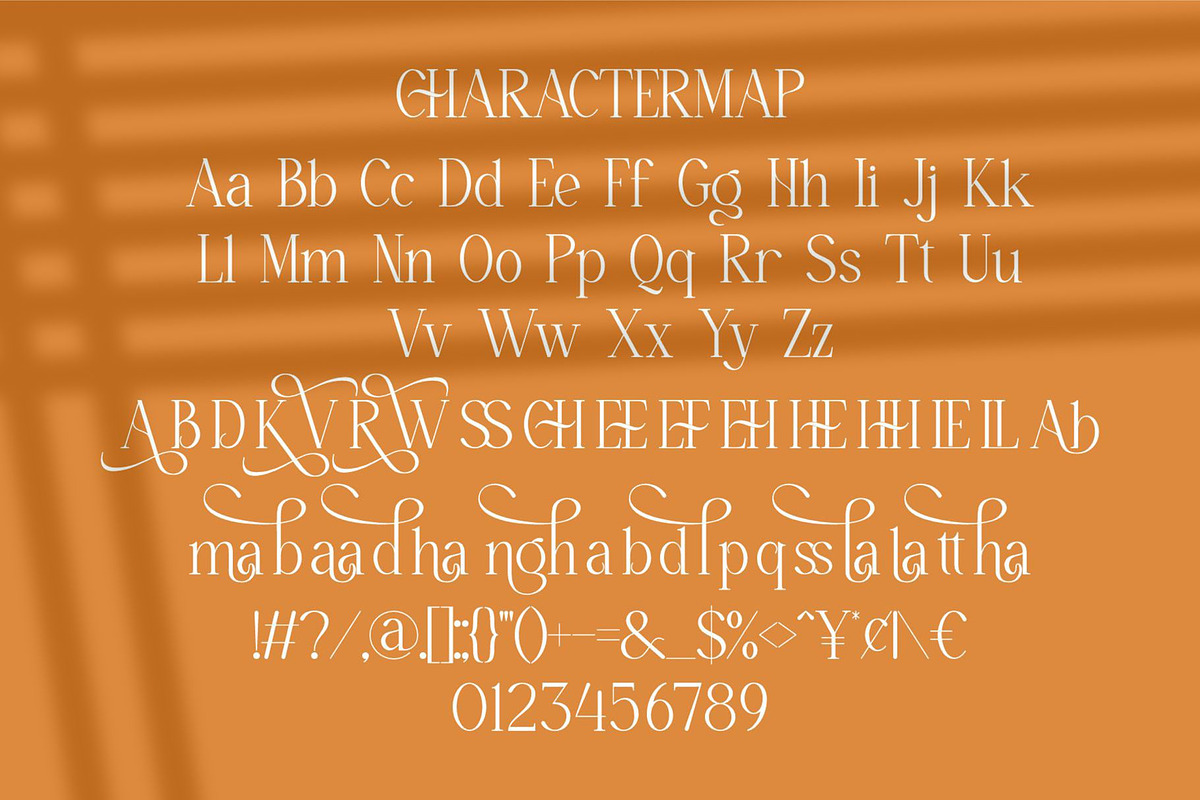 Aserha || Modern Elegant Serif Font, a Serif Font by Ermedia Studio (Photo 10 of 10)