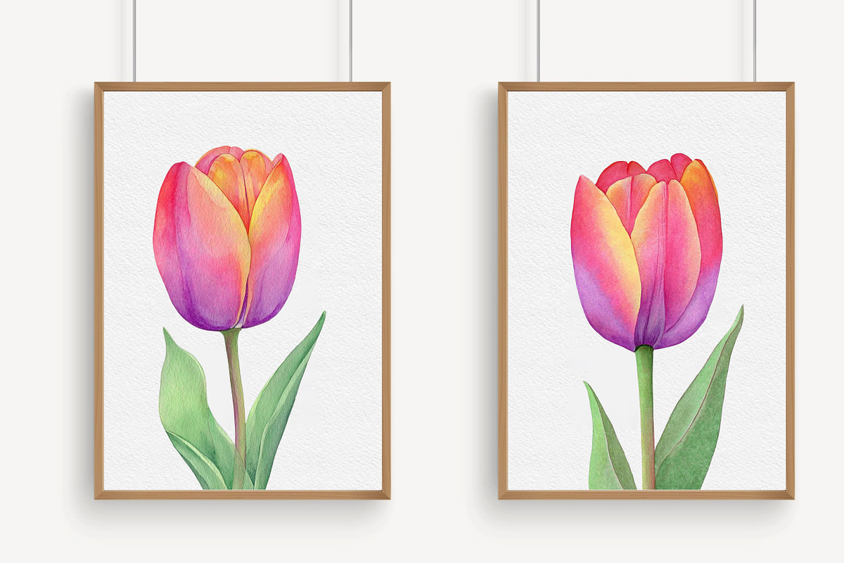 Watercolor Tulip Clipart, an Illustration by Libby Wishes (Photo 5 of 6)