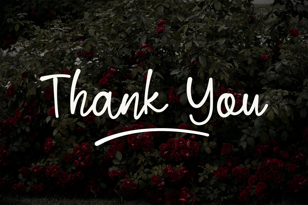 Blind Matte - Script Font, a Script Font by NTC Graphic (Photo 9 of 9)