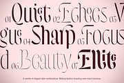 Dh Atilras - 8 Fashion Serif Family, a Serif Font by Dharmas Foundry (Thumbnail 7 of 15)