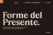 Akkyle – Modern High Contrast Serif, a Serif Font by Zaloma Studio (Thumbnail 4 of 11)