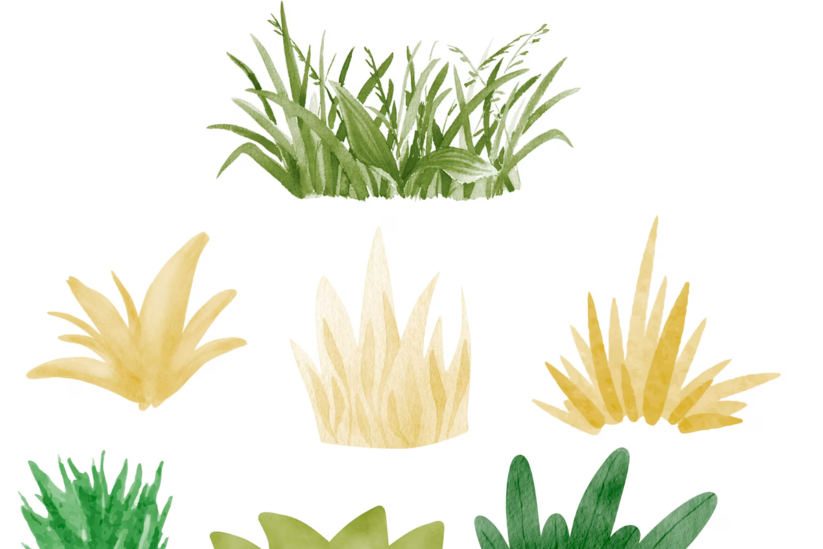 450+ NATURE PROCREATE STAMPS, a Brush Add-On by BeeRubby (Photo 10 of 10)