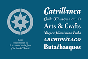 LC Tejuela, a Serif Font by CTCH (Thumbnail 8 of 13)