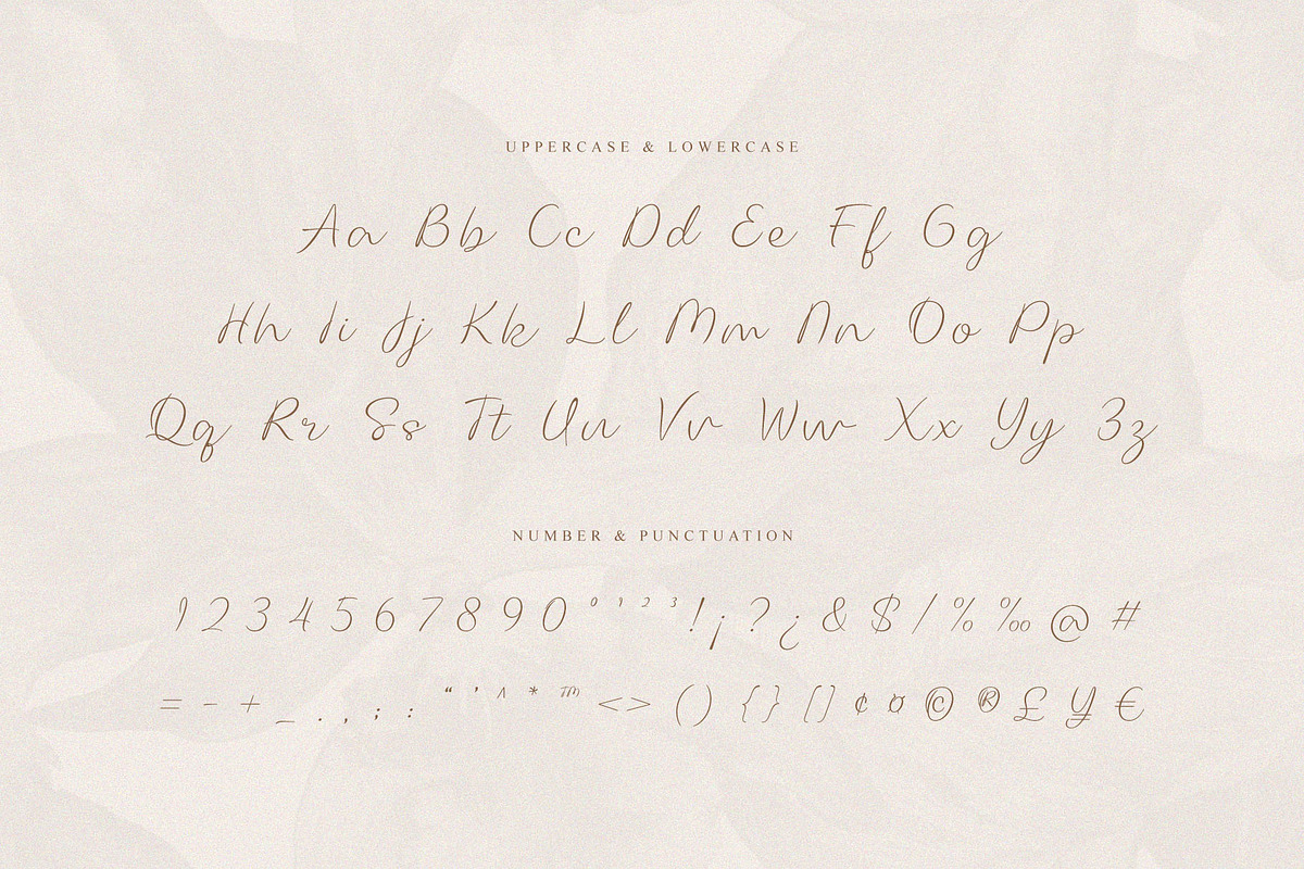 Mellonia – Script Font, a Script Font by Almeera Std (Photo 5 of 10)