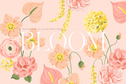 Bloom Vector Illustration & Patterns, a Decorative Illustration by Inna Moreva (Thumbnail 1 of 14)