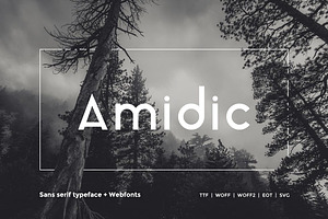 Amidic - Modern San-serif Typeface