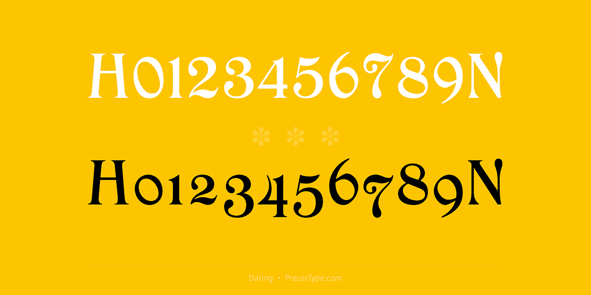 Daring, a Serif Font by preussTYPE (Photo 3 of 8)