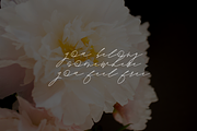 Lady Luminous, a Script Font by Luminous Lines Creative (Thumbnail 2 of 5)