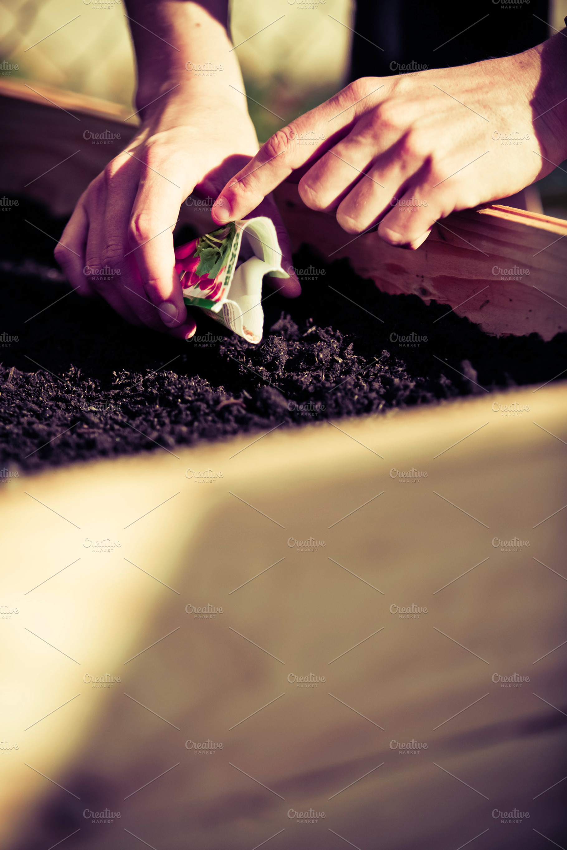 Urban Gardening Containing Urban Garden And Urban Gardening