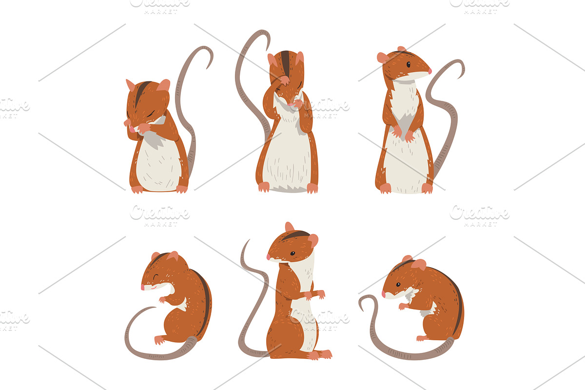 Field Mouse as Small Rodent with, an Animal Illustration by TopVectors