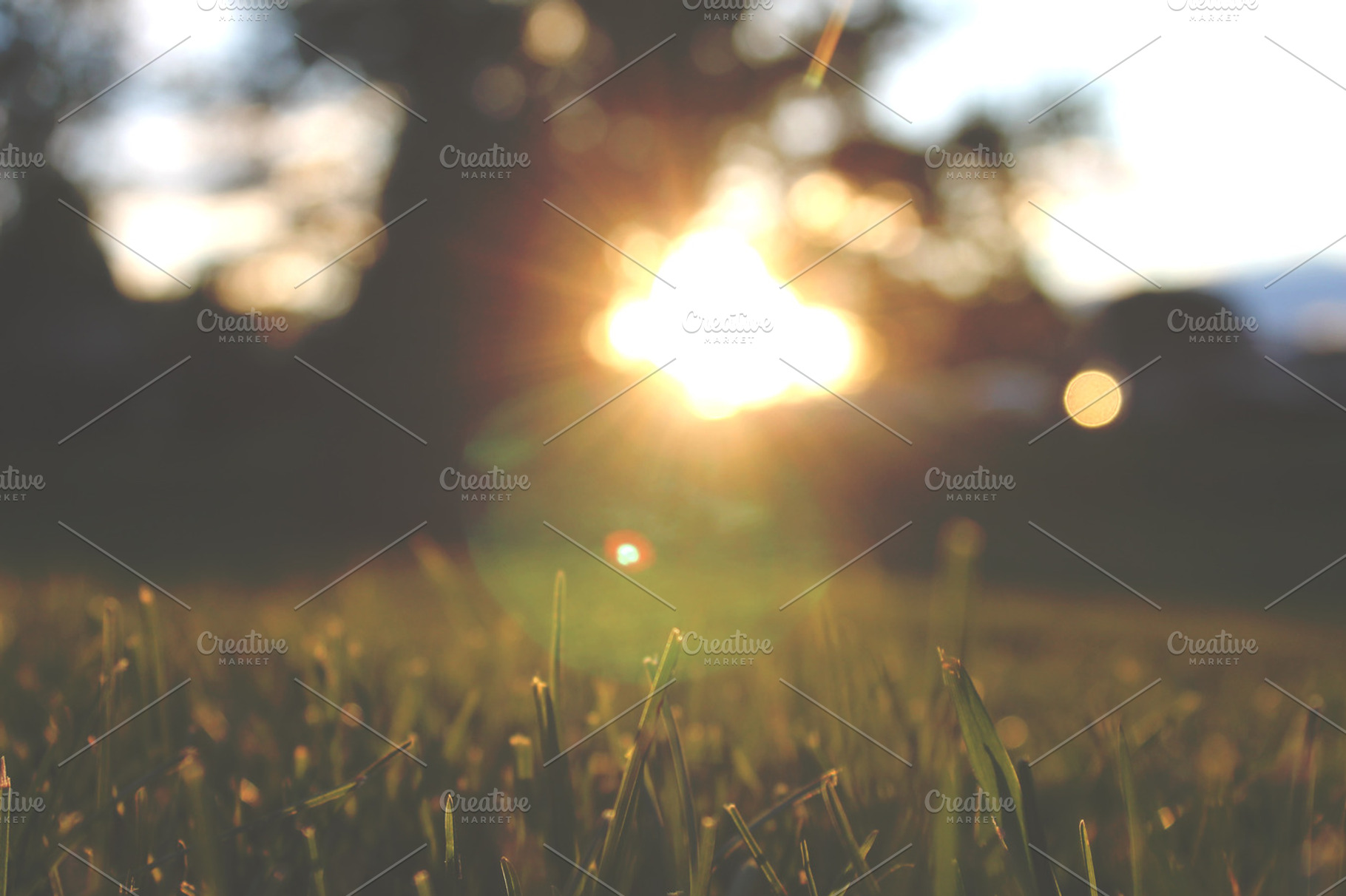 Summer Nights Stock Photo Containing Summer And Sun