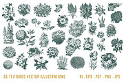 VINTAGE FLORALS | 35 Vectors, an Illustration by Britt & Kit (Thumbnail 2 of 2)