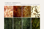 Forest Imprint Botanical backgrounds, a Background Graphic by Yuliya Derbisheva (Thumbnail 8 of 11)