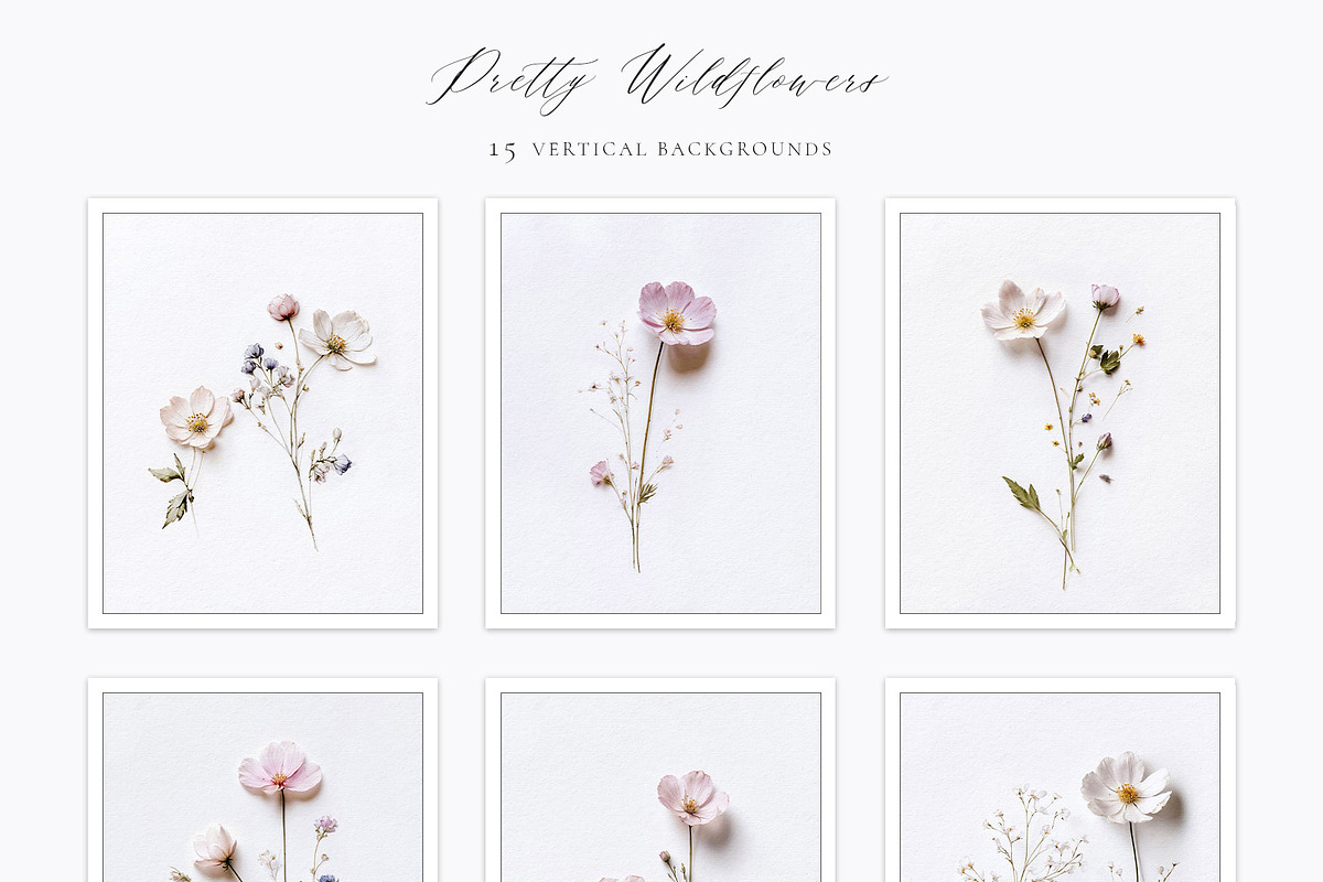 Pretty Wildflowers I Pressed Flowers, a Background Graphic by by creative paper (Photo 10 of 14)