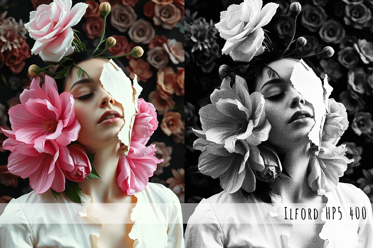 BW Film PS Actions, an Action Add-On by Art Sproot (Photo 6 of 16)