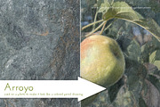 The American West texture pack, a Texture Graphic by Cindy Garber Iverson (Thumbnail 4 of 4)