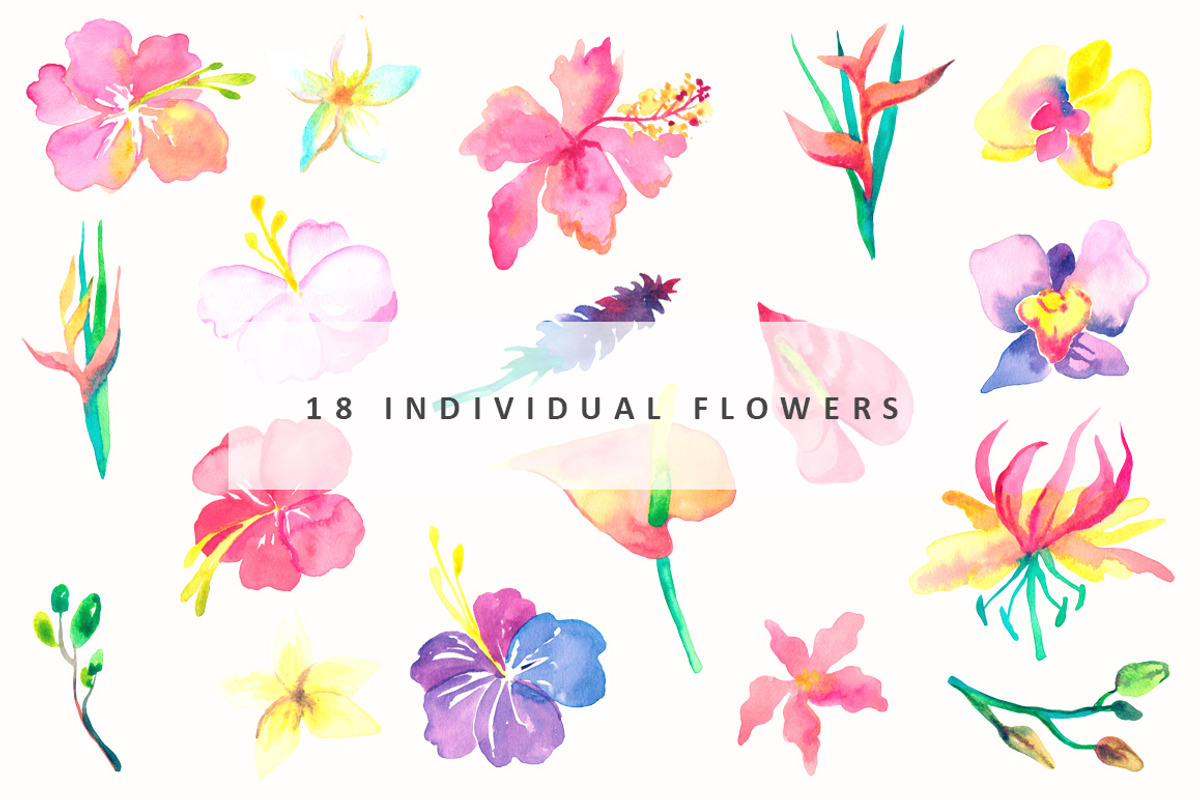 Tropical Paradise-watercolor set, an Object Graphic by Kseniya_design (Photo 2 of 12)