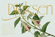 KLENSIG MOCKURA — Elegant & Luxury, a Serif Font by Enxyclo Studio (Thumbnail 16 of 23)