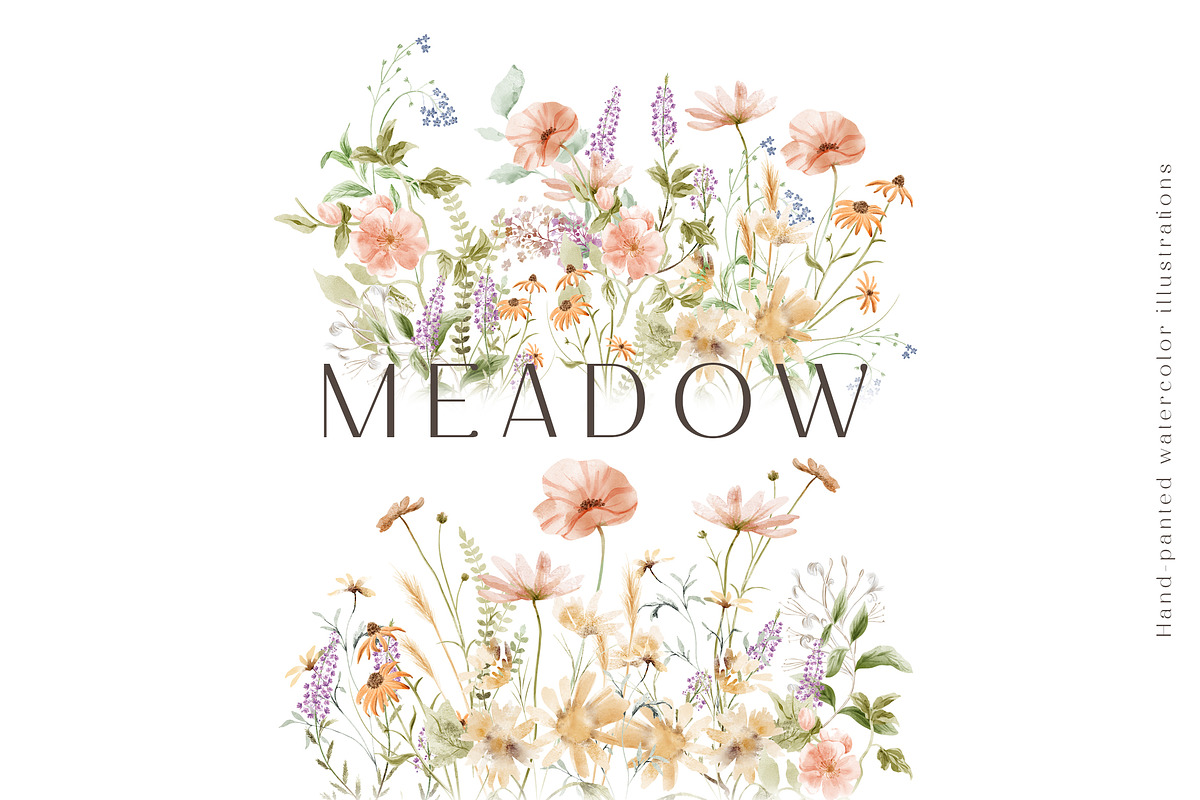 Wild floral illustrations - Meadow, an Illustration by TheHappyGiftArt (Photo 5 of 8)