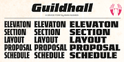 Guildhall, a Serif Font by Device (Thumbnail 5 of 8)