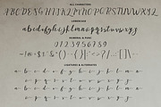 Legno Volante Script, a Handwritten Font by Eltypesstudio (Thumbnail 8 of 10)