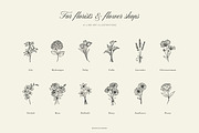 FLORIST'S line art illustrations, a Decorative Illustration by Crocus Paperi (Thumbnail 2 of 6)