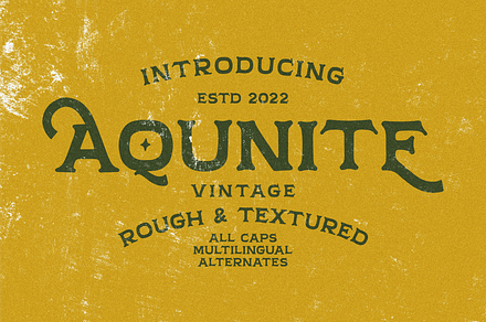 Aqunite Vintage Typeface, a Font by 24Design Studios