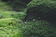 Artist Series - Lightroom Bundle 03 preview 4